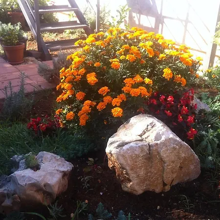 Gold & Gray Apartamento *