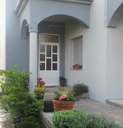 Gold & Gray زادار