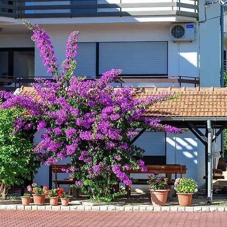 Gold & Gray * زادار