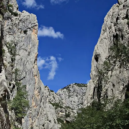 Apartment Gold & Gray *