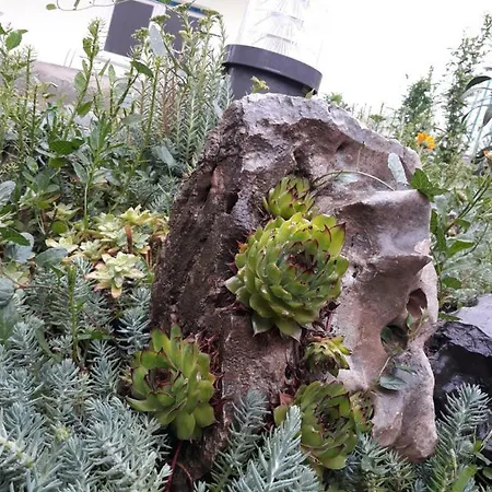 Gold & Gray شقة زادار