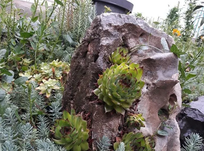 Apartment Gold & Gray Lägenhet Zadar